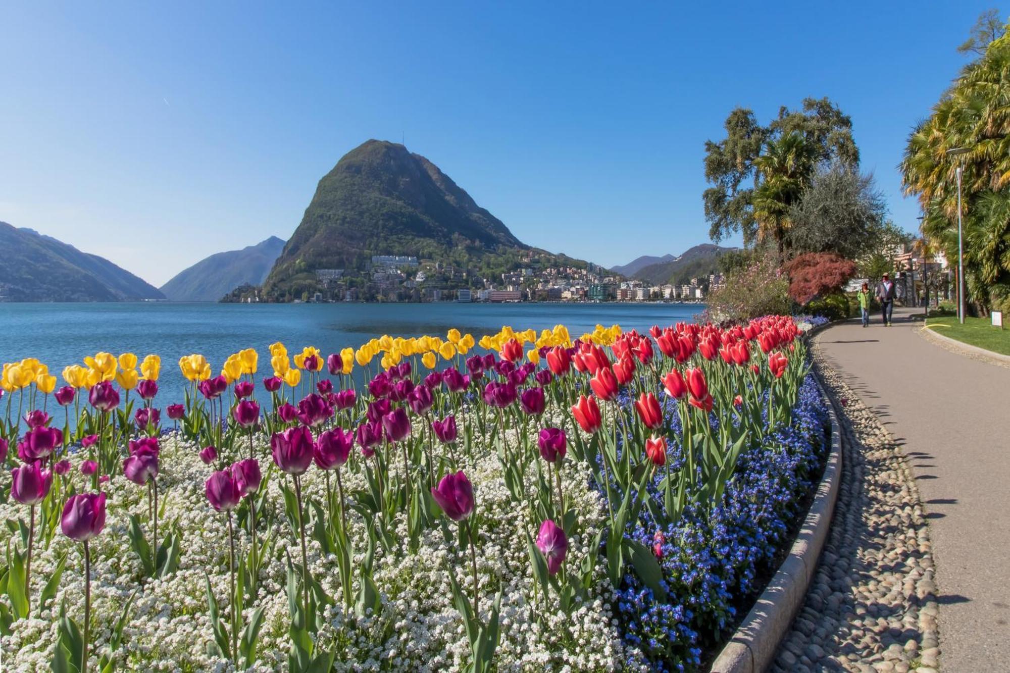 Love Of Lugano - Happy Rentals Exteriör bild